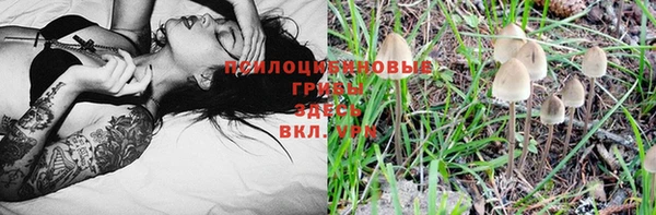 ПСИЛОЦИБИНОВЫЕ ГРИБЫ Балабаново