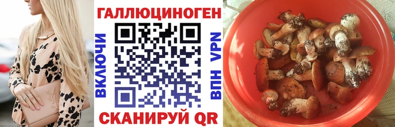 Псилоцибиновые грибы Cubensis Люберцы