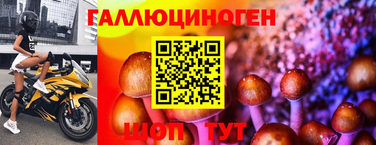 Люберцы  Галлюциногенные грибы мицелий  Вход с VPN  сколько стоит  Галлюциногенные грибы прущие грибы 